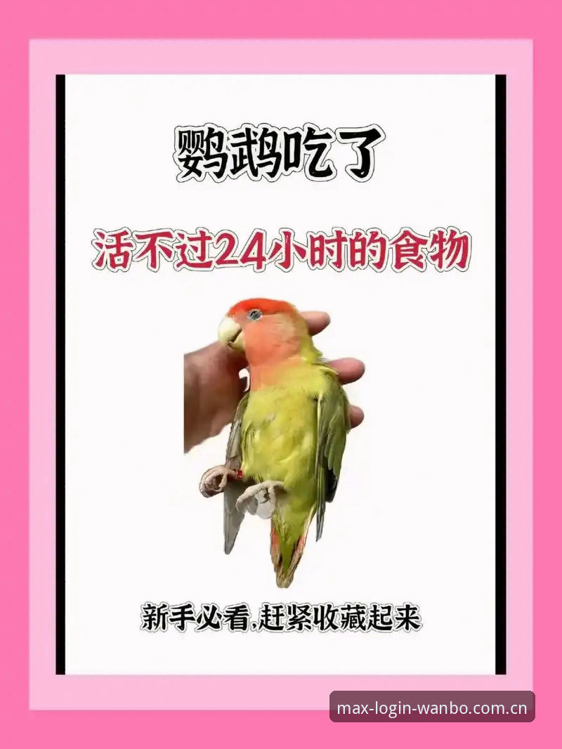 新手必看：万博体育平台资深用户分享2026万博官方下载地址与手机版登录心得